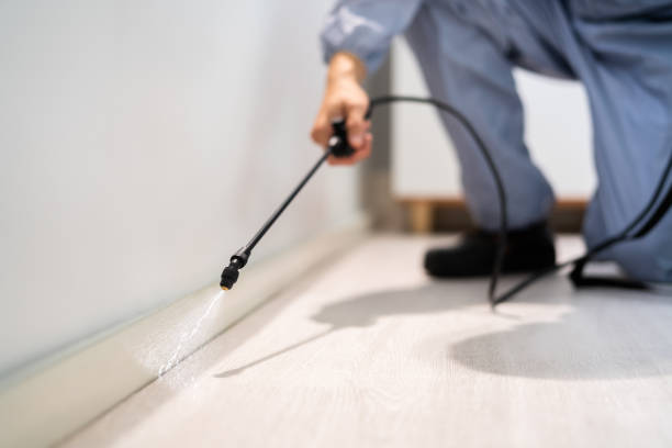 Licensed Pest Control service in Farwell, TX - Show Me Pest Control