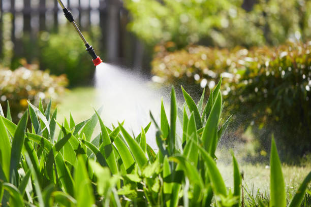 24/7 Emergency Wasp Removal experts in Farwell, TX