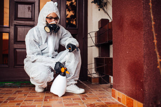 Reliable Wasp Removal contractor in Farwell, TX by Show Me Pest Control